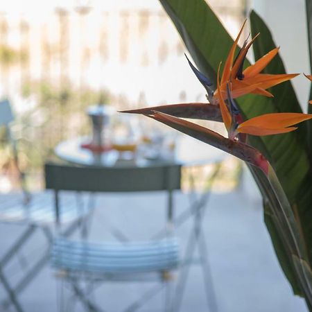 La Strelitzia Cervo Mare Apartment Ngoại thất bức ảnh
